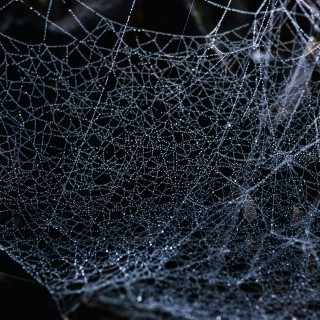 Mesh tech capabilities visualizing AI Readiness with Drupal web development